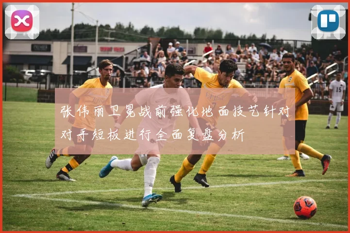 张伟丽卫冕战前强化地面技艺针对对手短板进行全面复盘分析