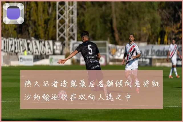 热火记者透露最后名额倾向老将凯沙约翰逊仍在双向人选之中