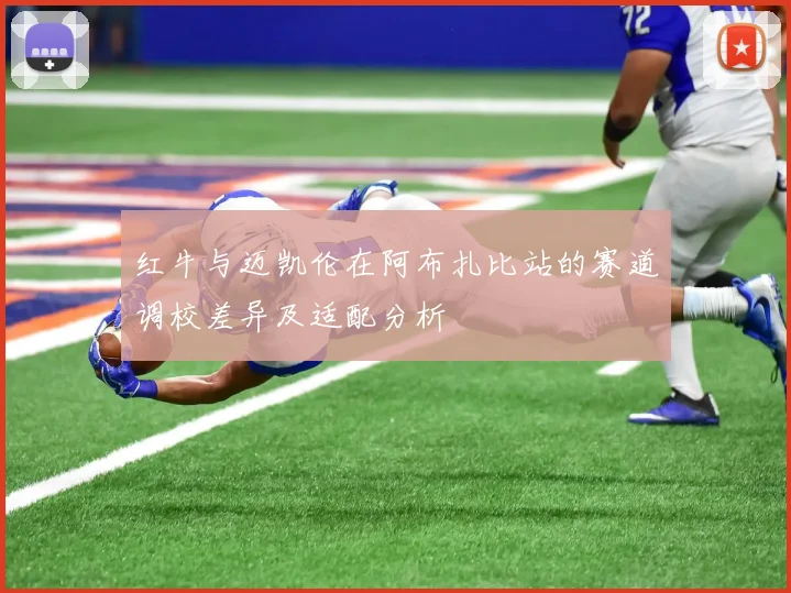 红牛与迈凯伦在阿布扎比站的赛道调校差异及适配分析